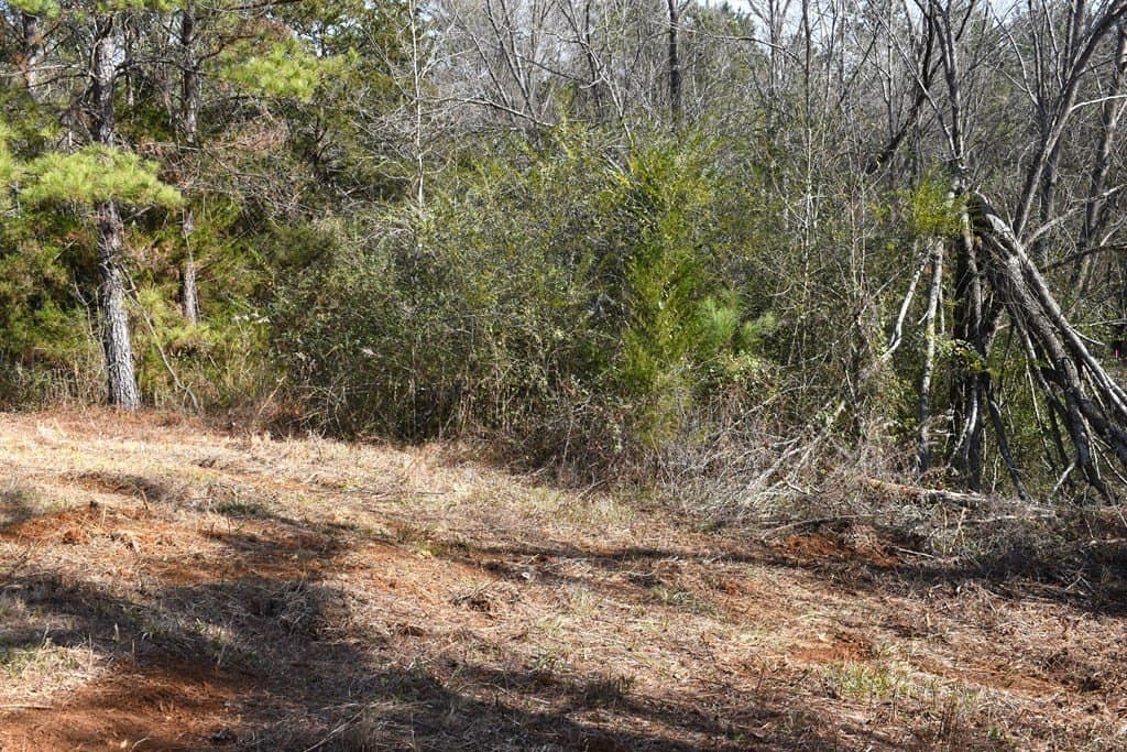 3 acres in ANDERSON County - photo 5