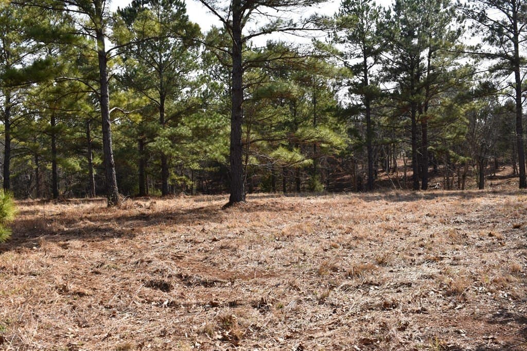 3 acres in ANDERSON County - photo 3
