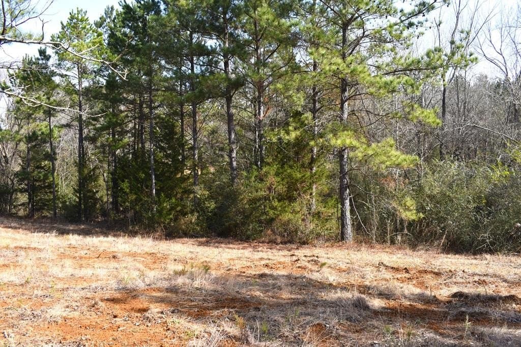 3 acres in ANDERSON County - photo 8