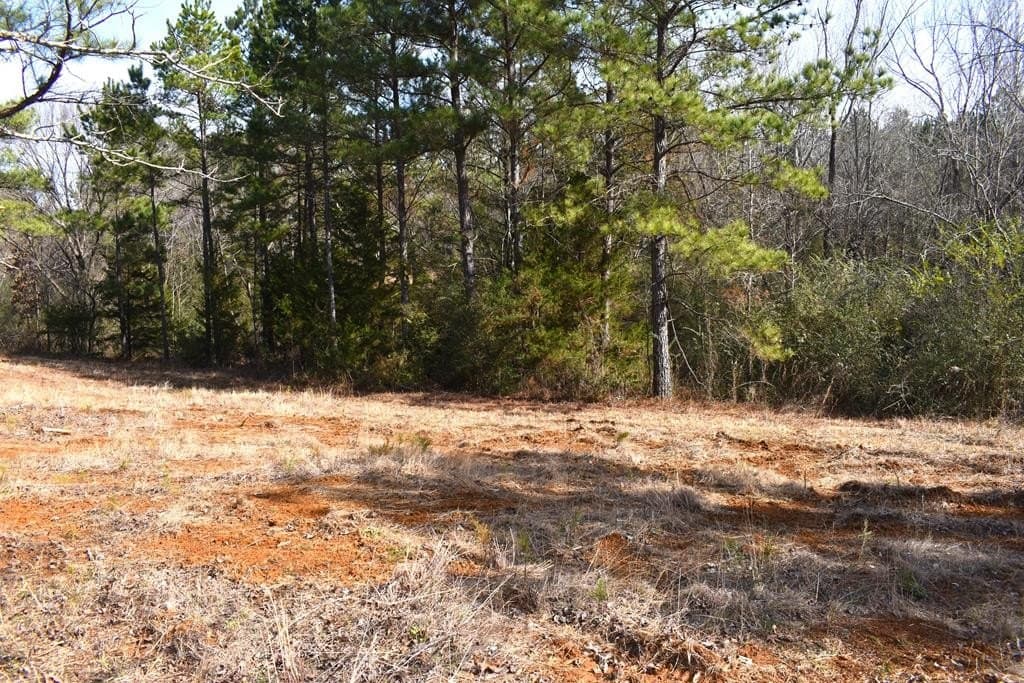 3 acres in ANDERSON County - photo 9