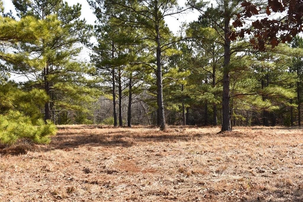 3 acres in ANDERSON County