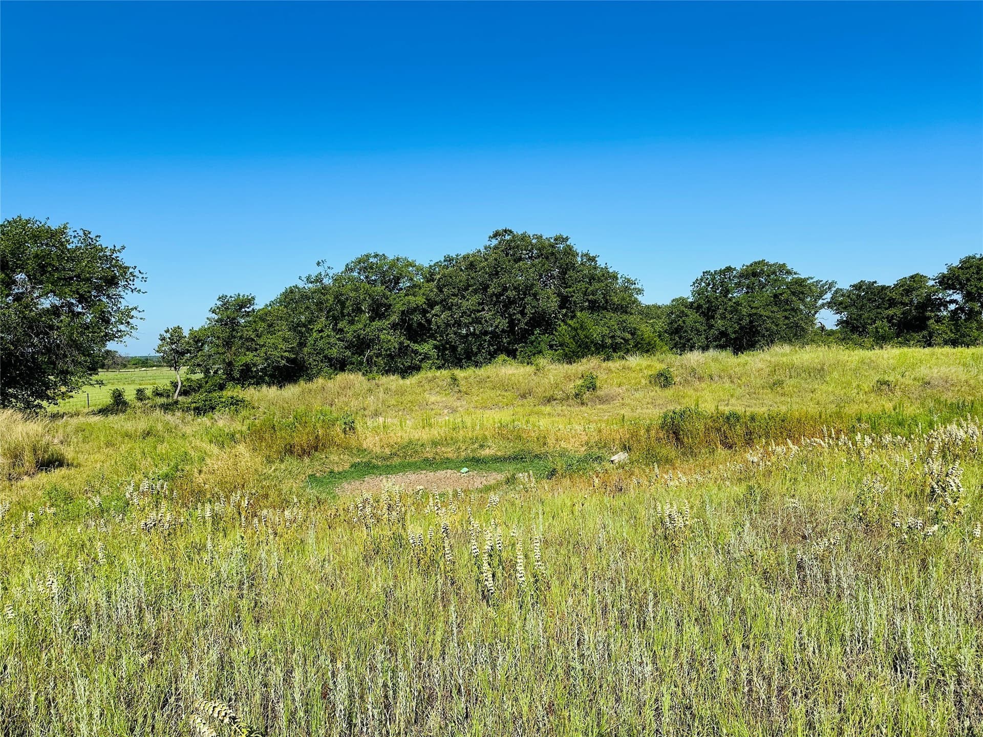 7.37 acres in Callahan County - photo 18