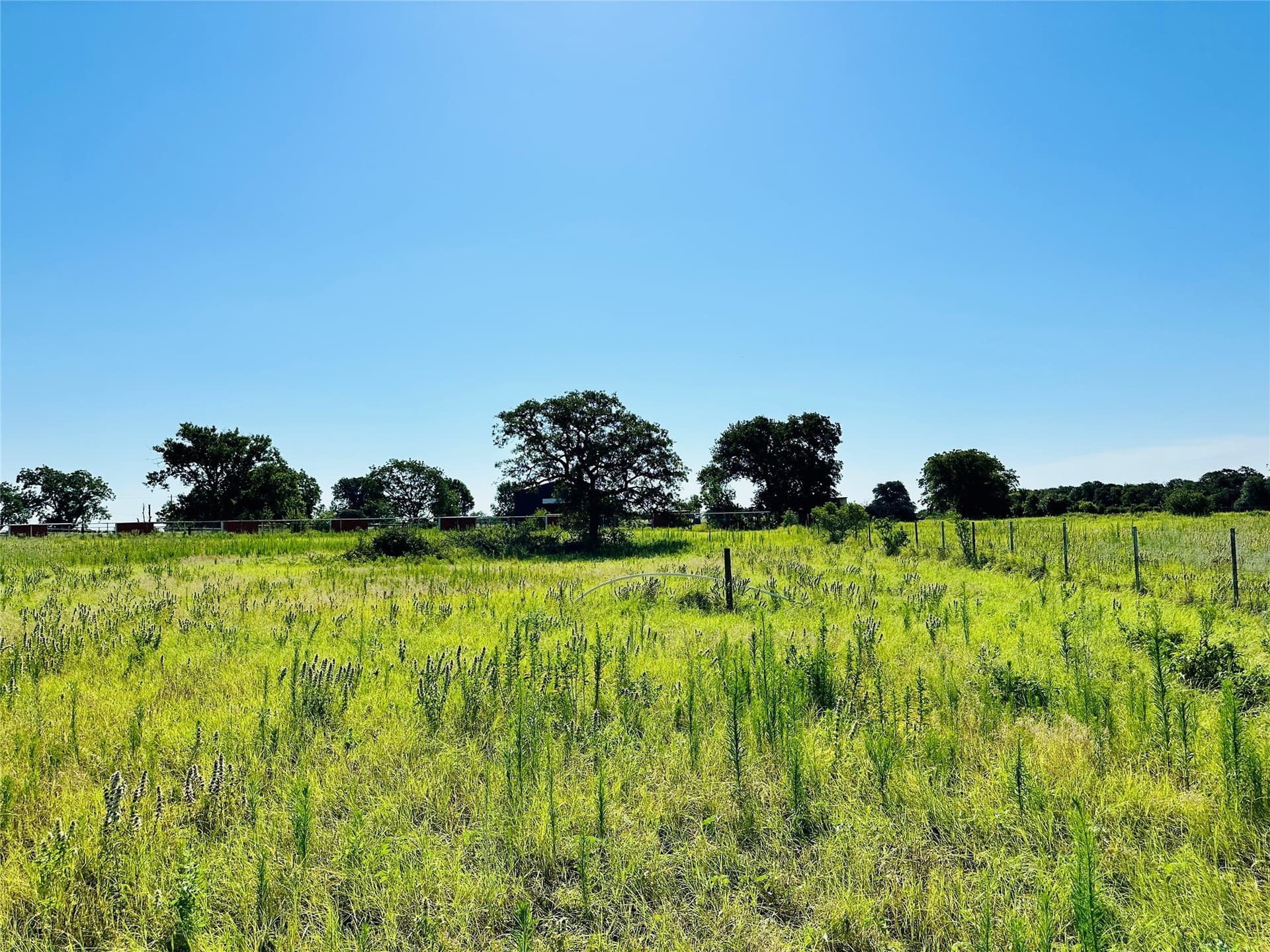 7.37 acres in Callahan County - photo 31