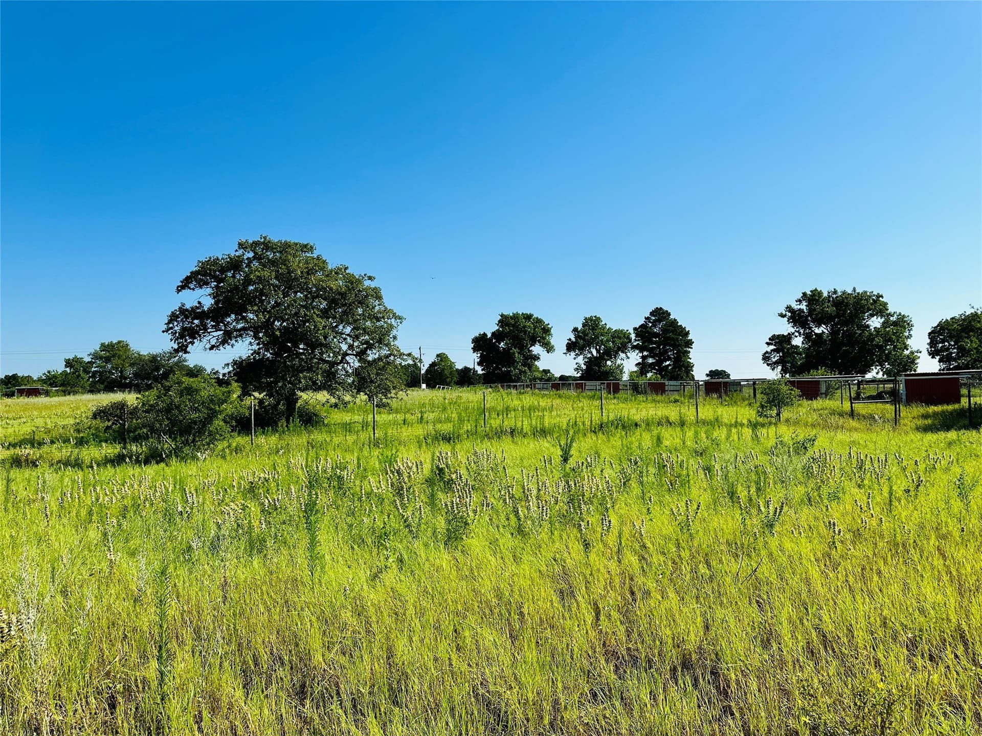 7.37 acres in Callahan County - photo 21