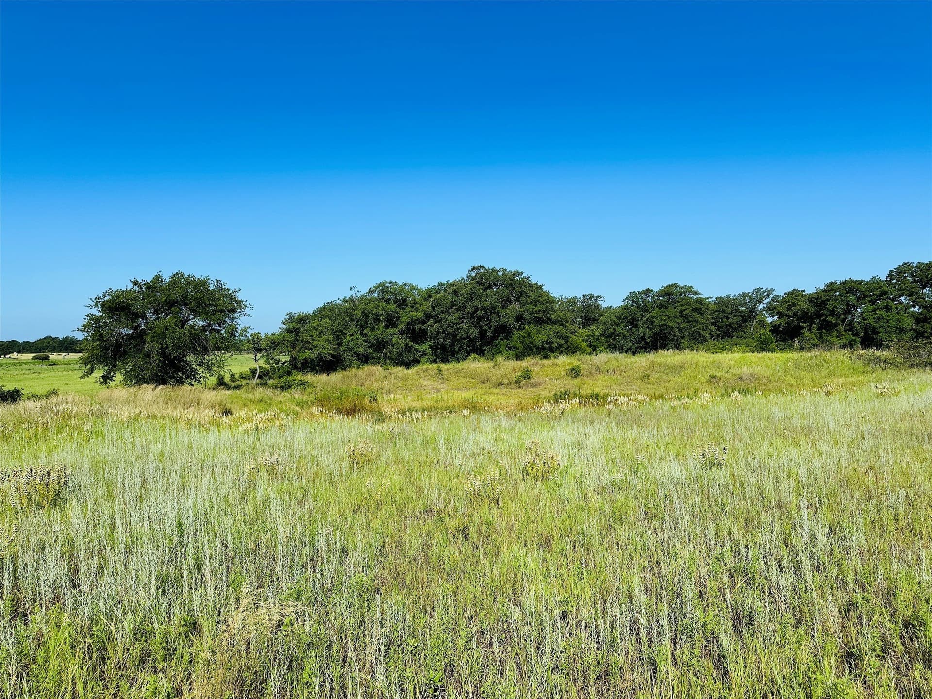 7.37 acres in Callahan County - photo 17