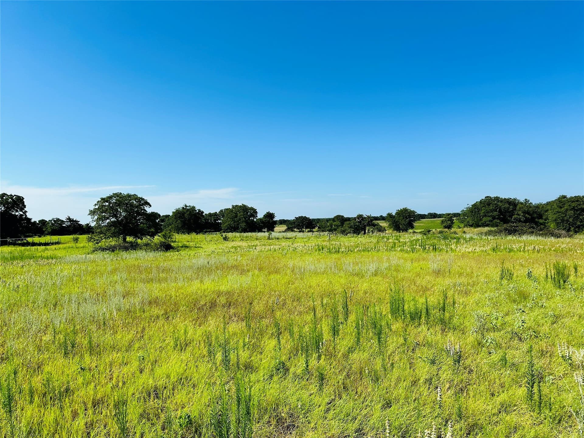 7.37 acres in Callahan County - photo 32