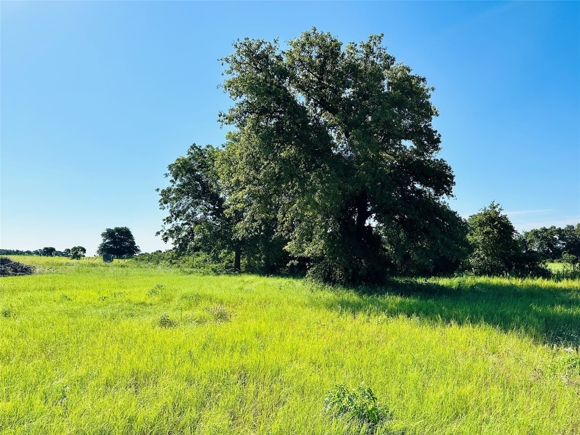 7.37 acres in Callahan County - photo 16