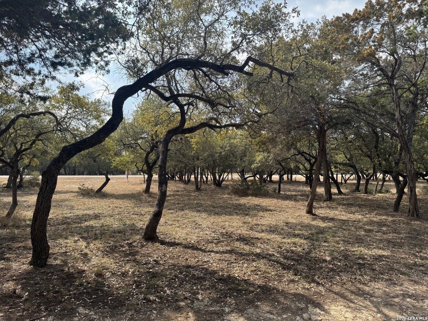 0.94 acres in Bandera County - photo 8