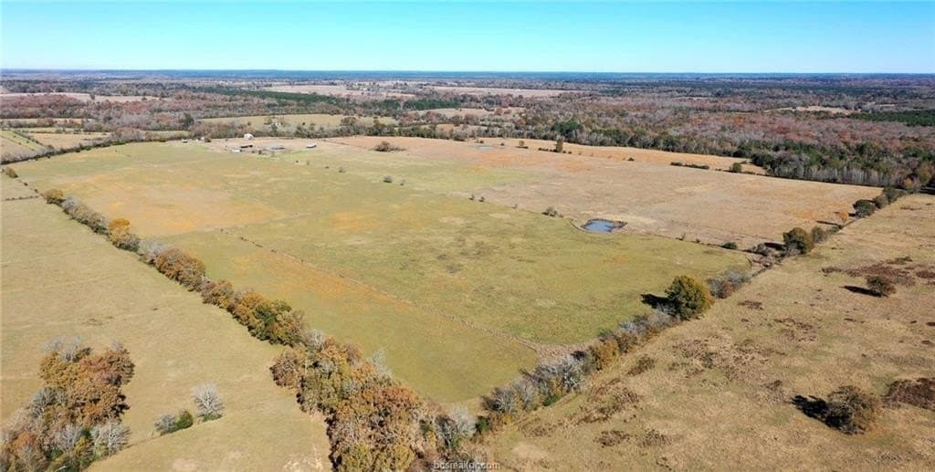 206 acres in Houston County gallery image 2