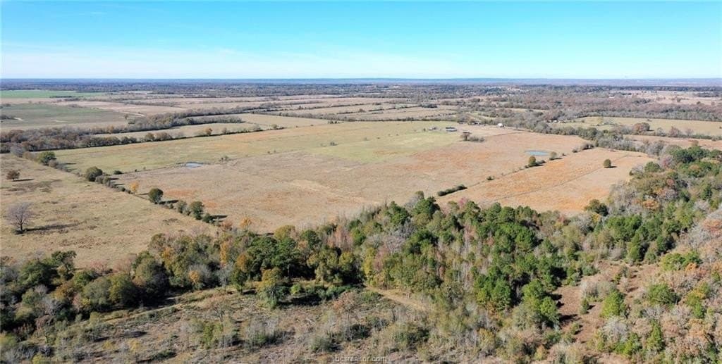 206 acres in Houston County gallery image 3
