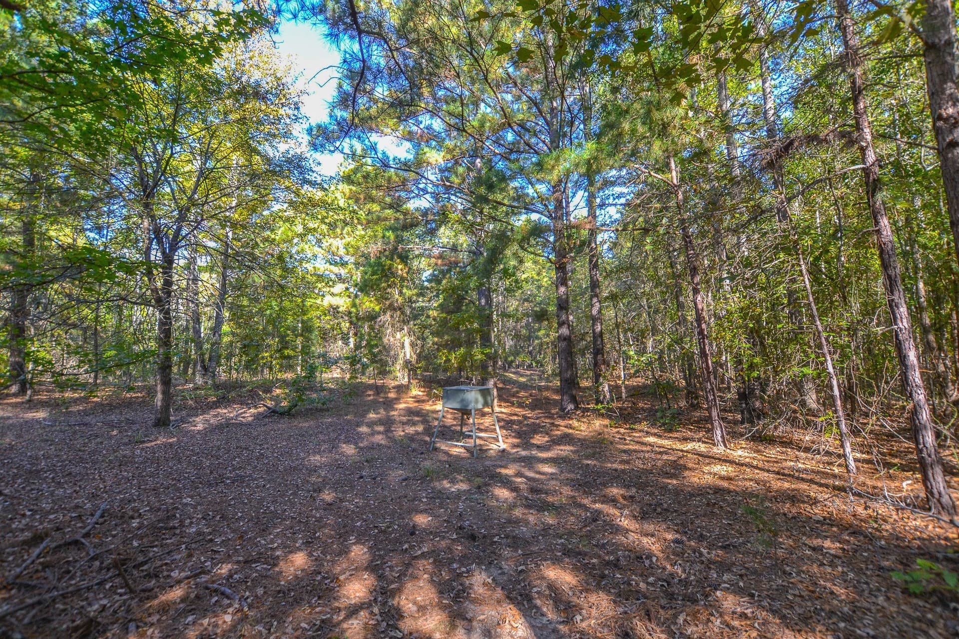 53 acres in Henderson County - photo 7