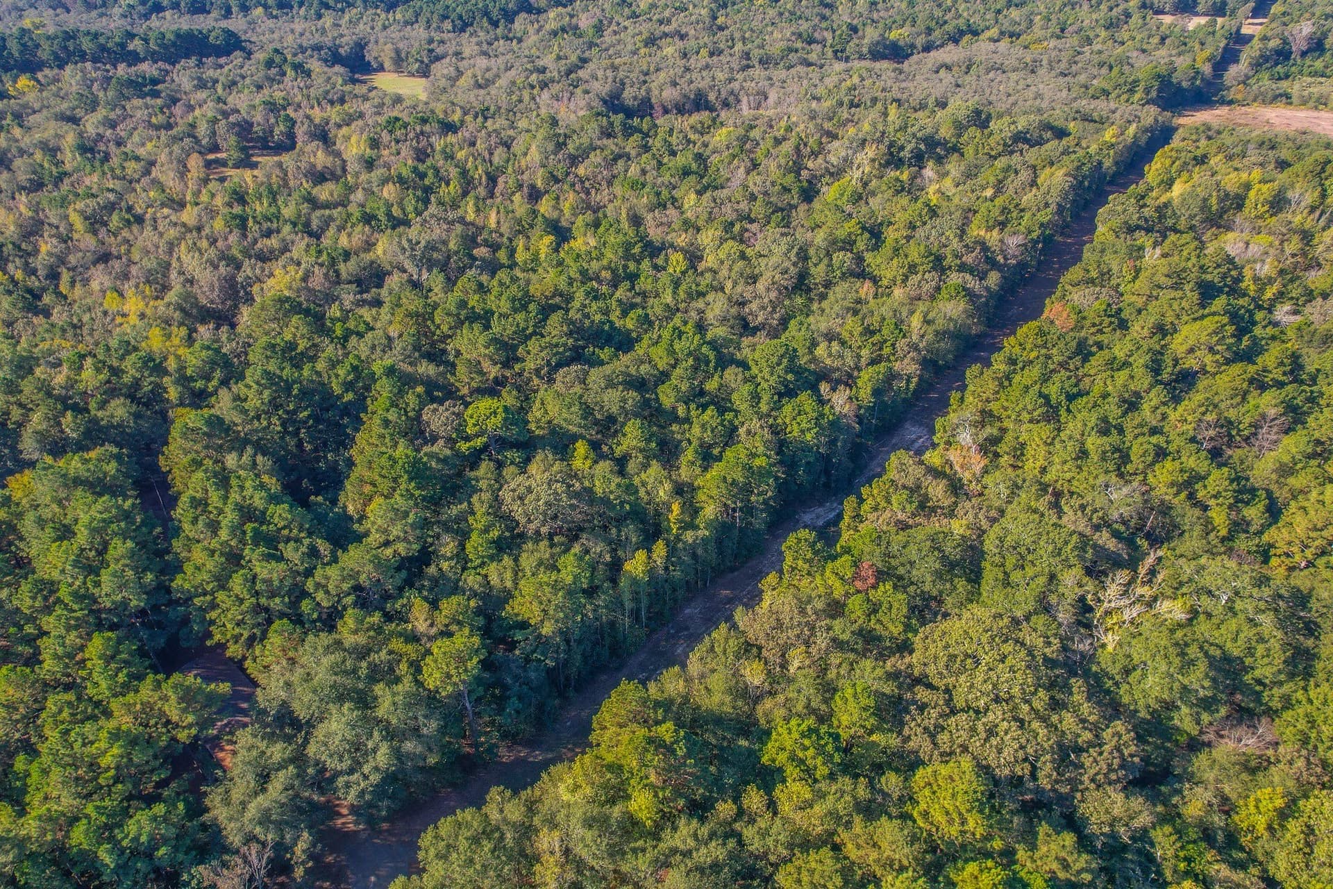 53 acres in Henderson County - photo 37
