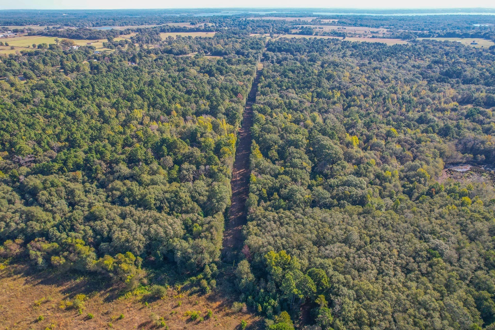 53 acres in Henderson County - photo 36