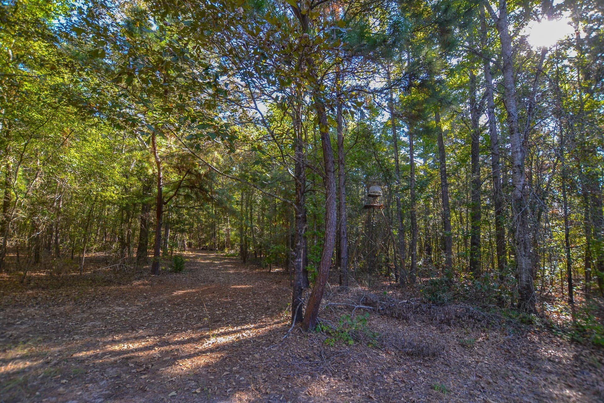 53 acres in Henderson County - photo 6
