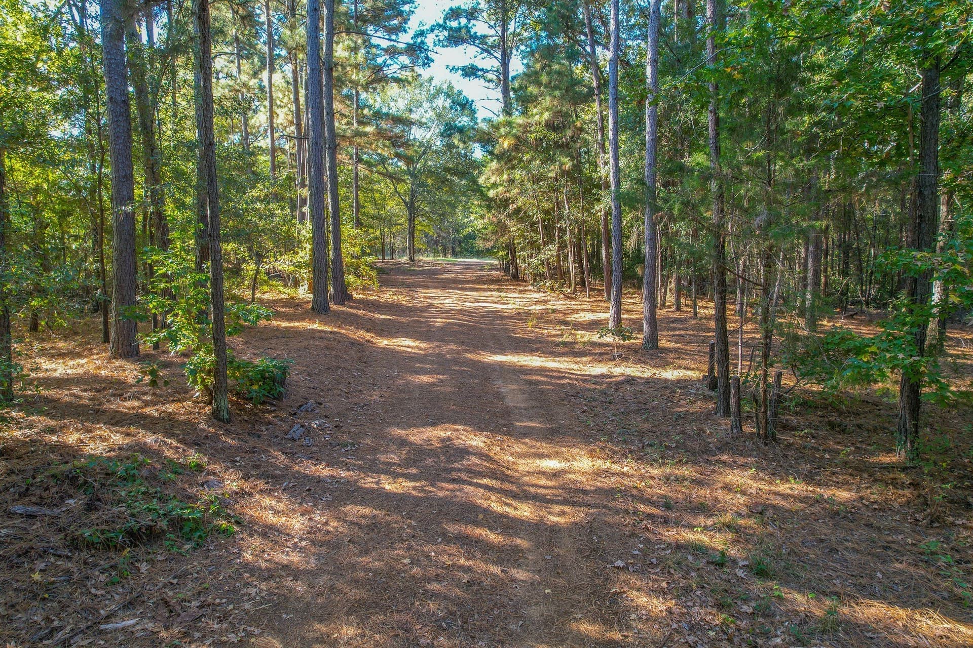 53 acres in Henderson County - photo 2