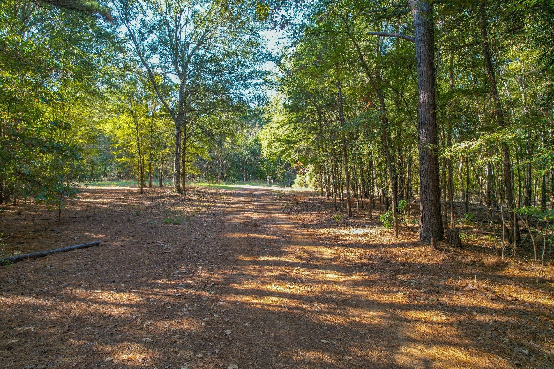 53 acres in Henderson County - photo 25