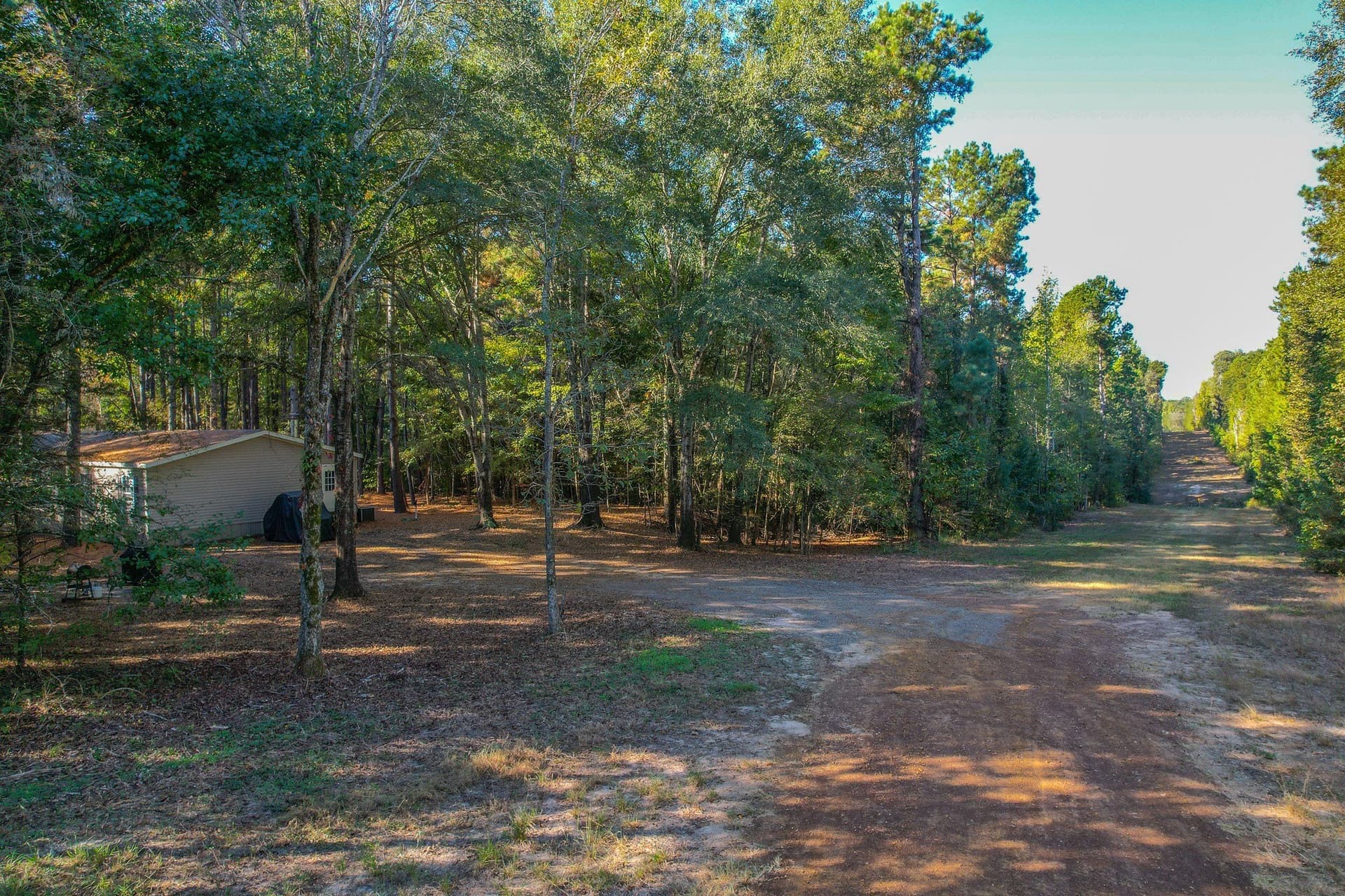 53 acres in Henderson County