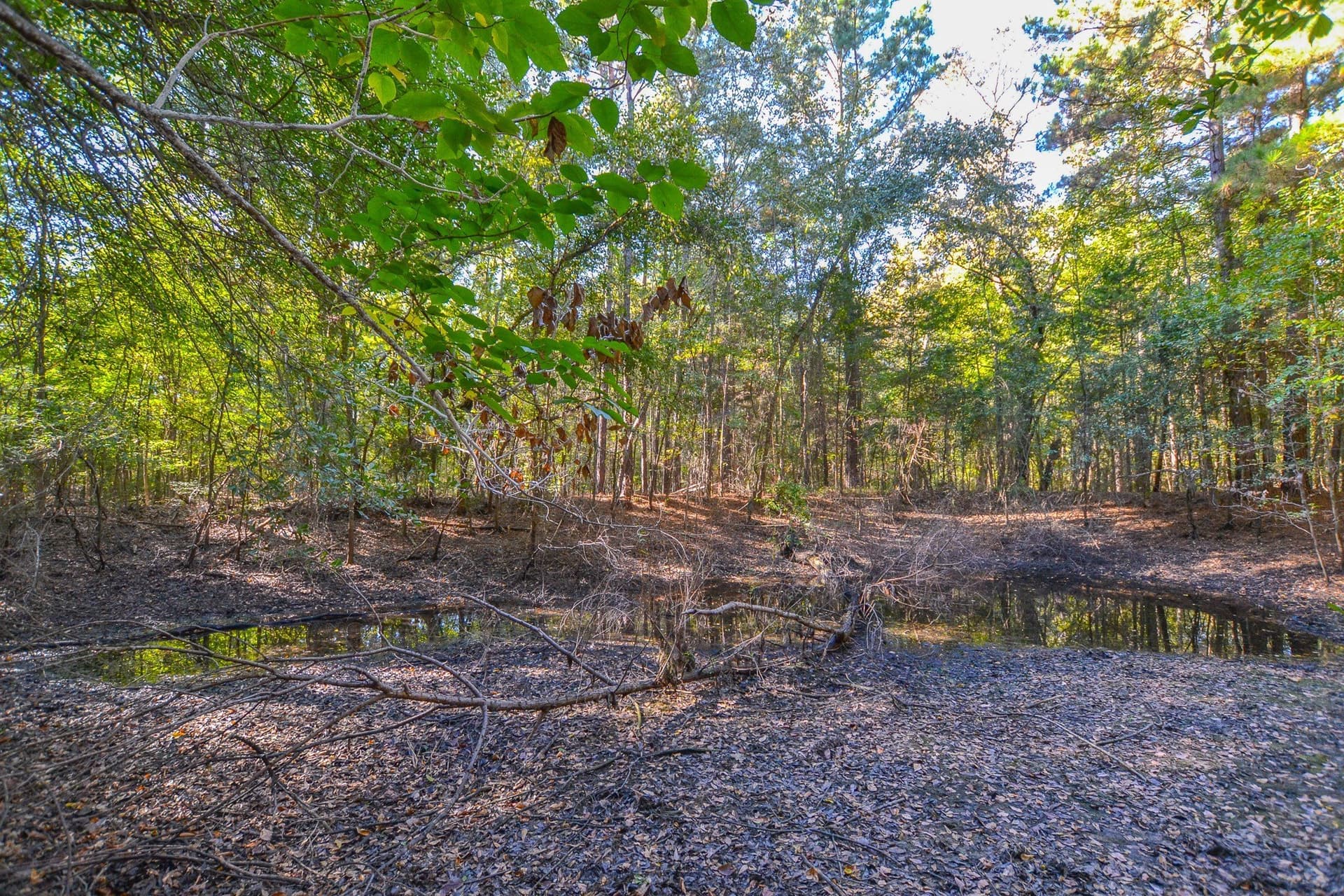 53 acres in Henderson County - photo 28