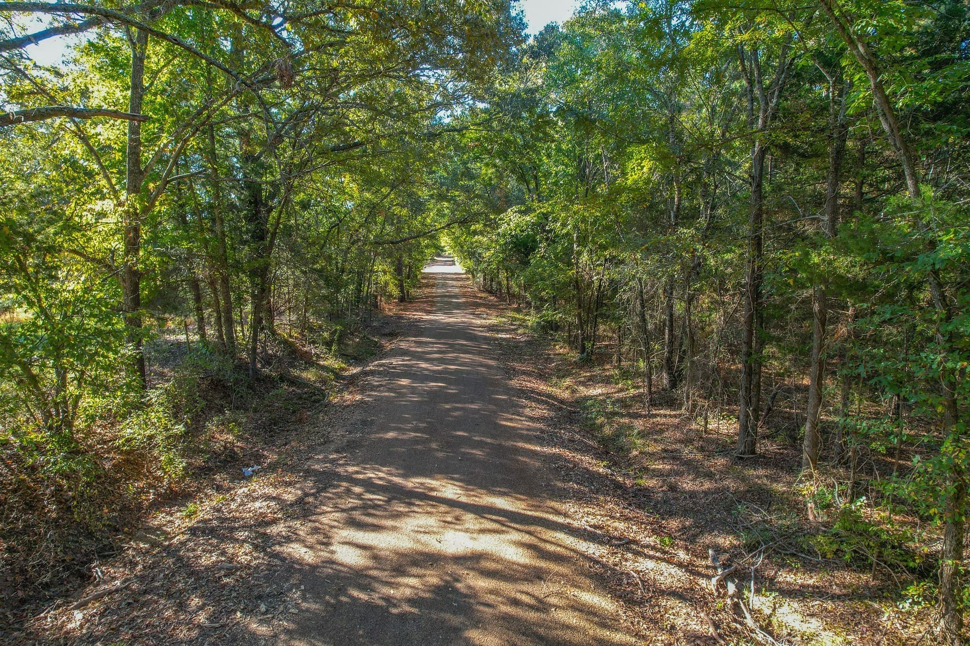 53 acres in Henderson County - photo 33
