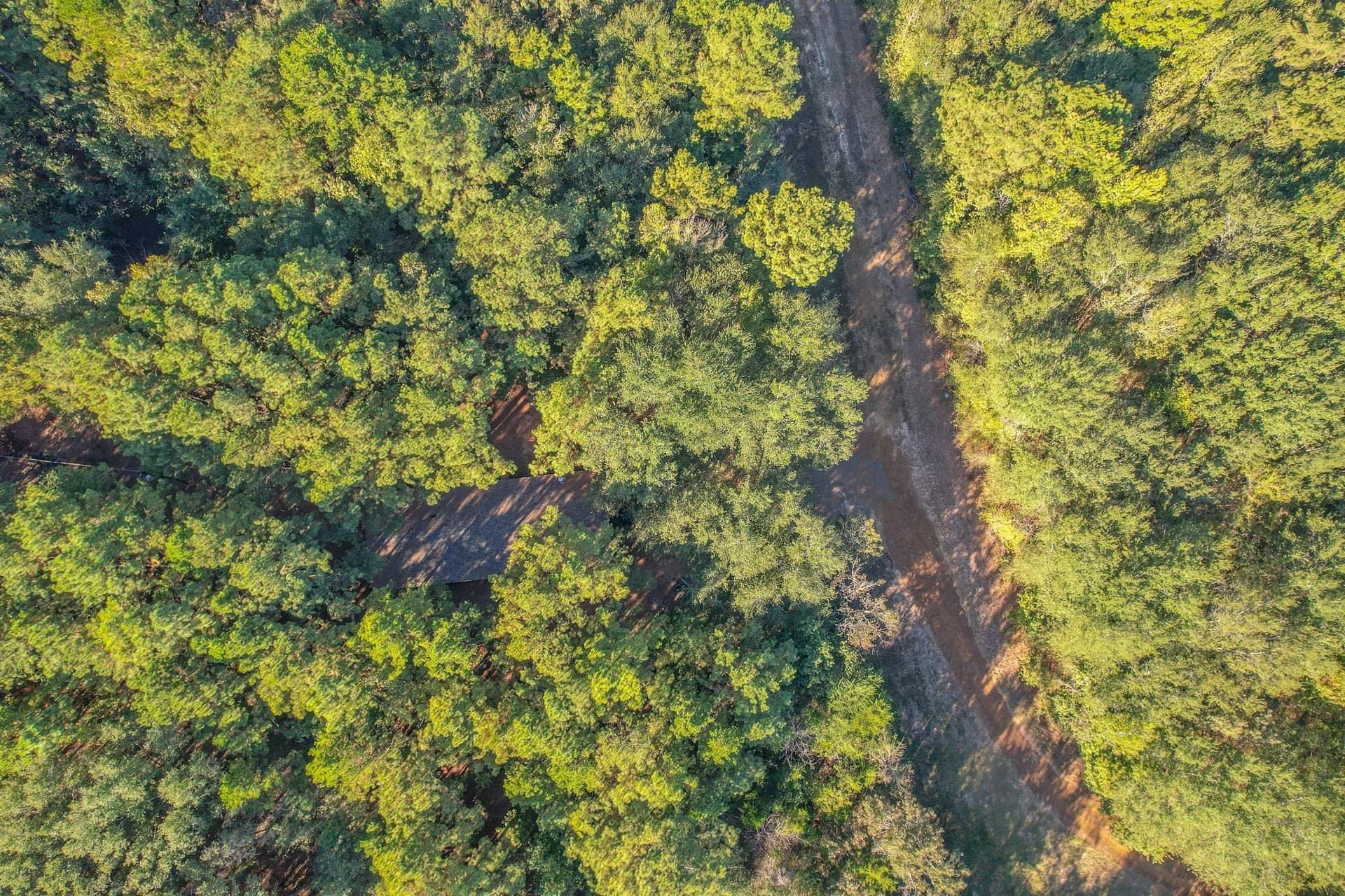 53 acres in Henderson County - photo 35