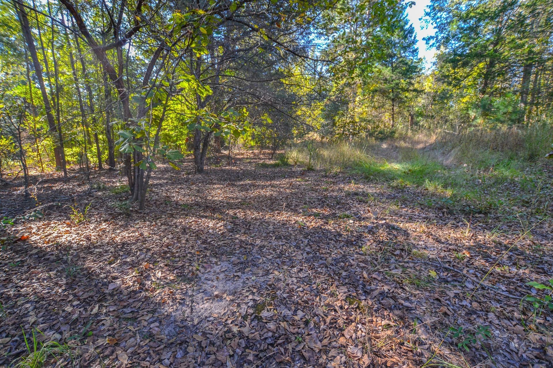 53 acres in Henderson County - photo 8