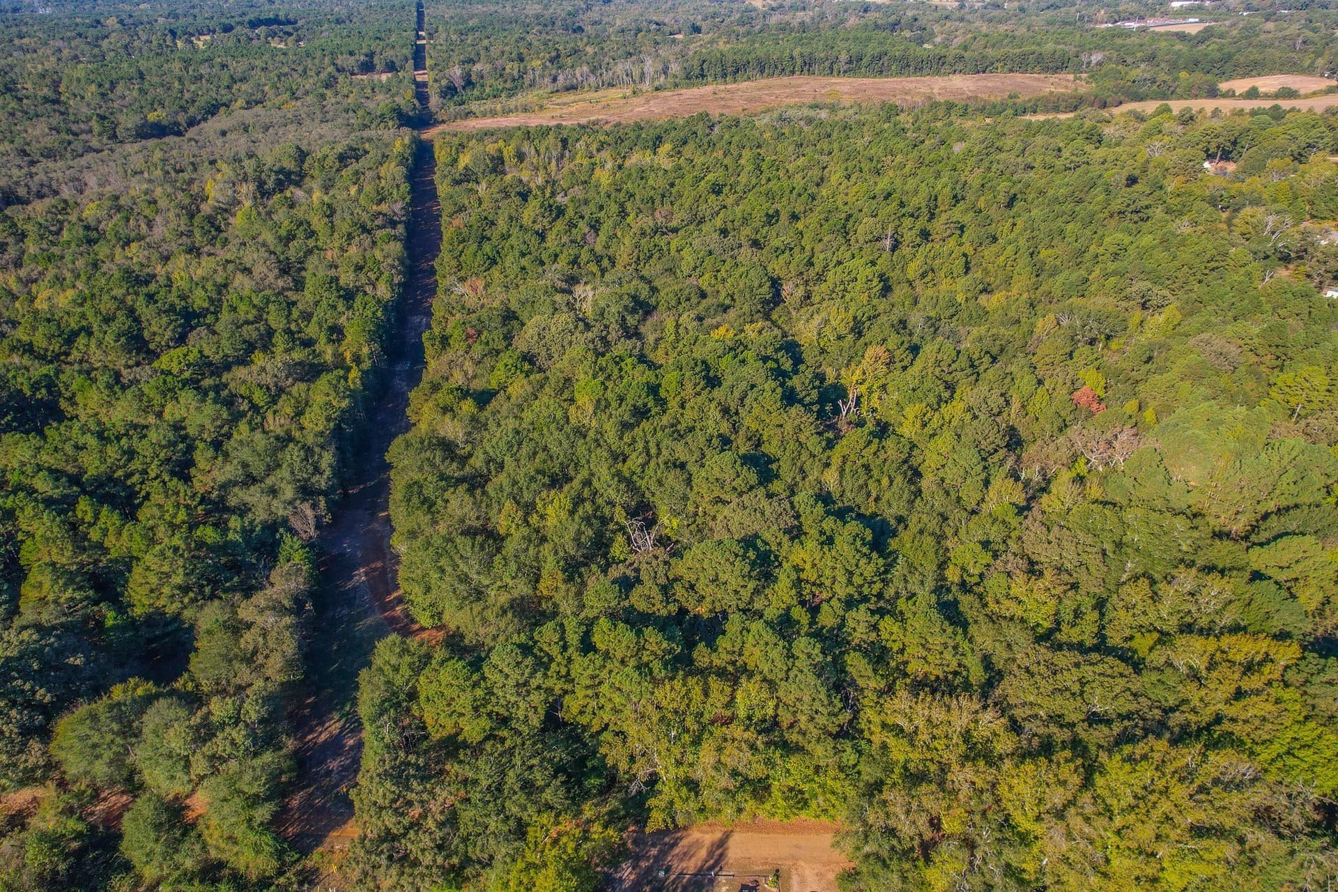 53 acres in Henderson County - photo 34