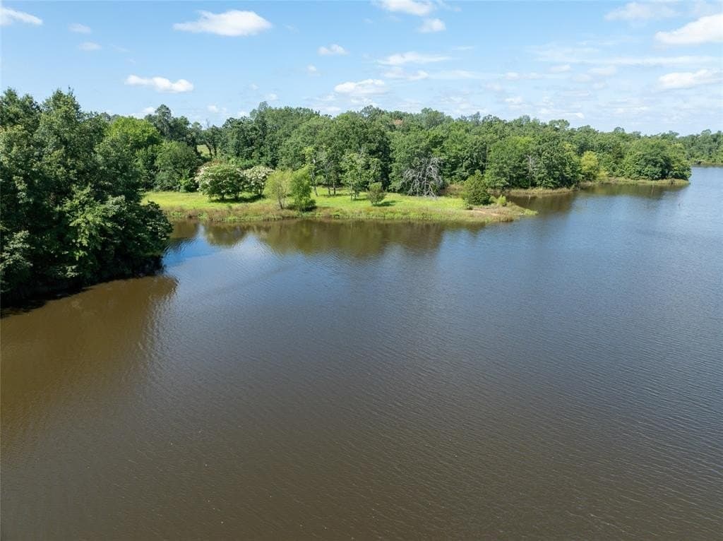 20.42 acres in Lamar County gallery image 3