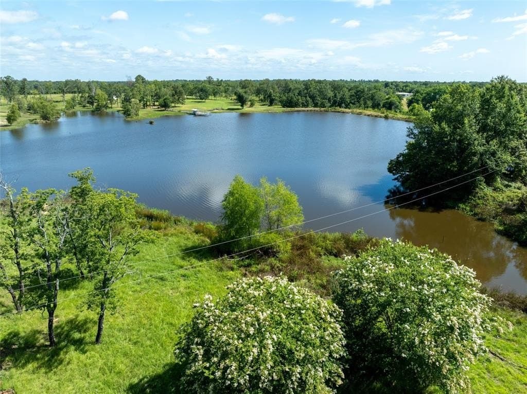 20.42 acres in Lamar County gallery image 4