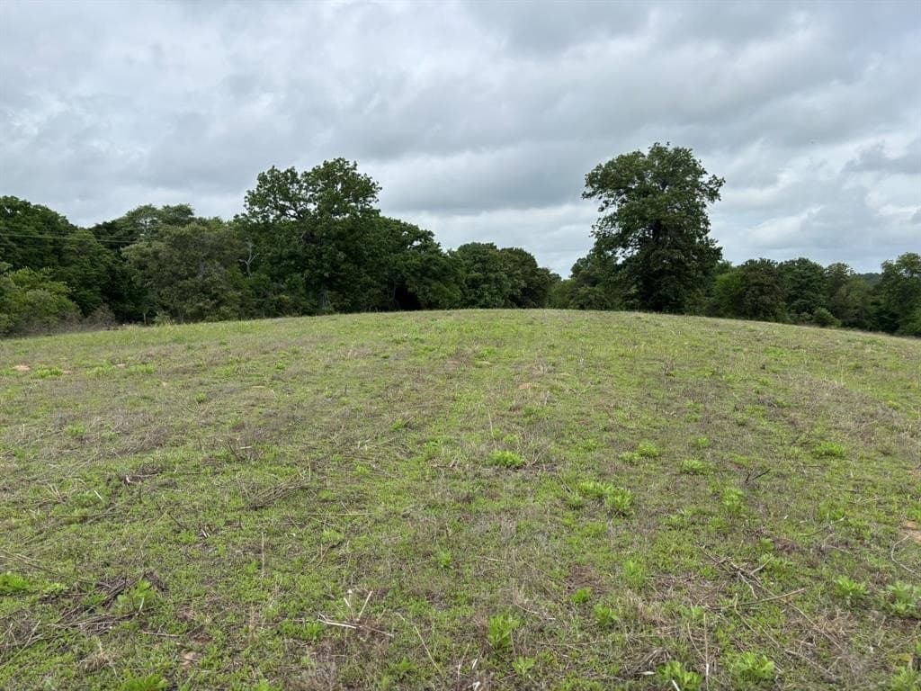 10.82 acres in Henderson County gallery image 4