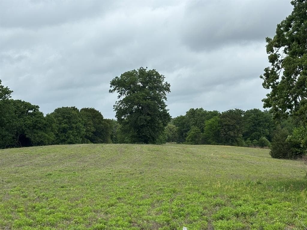 10.82 acres in Henderson County gallery image 2