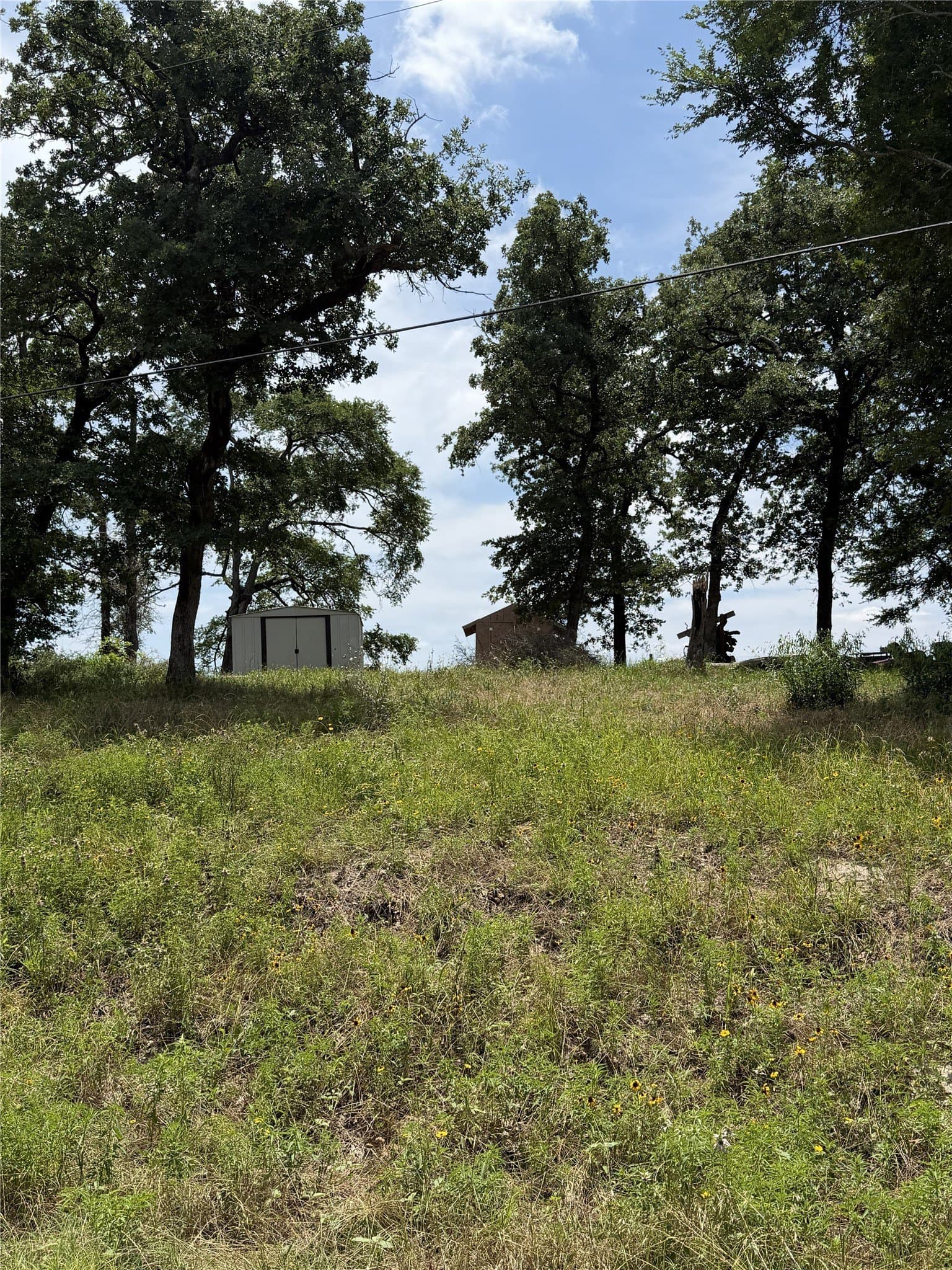 1.07 acres in Limestone County featured view