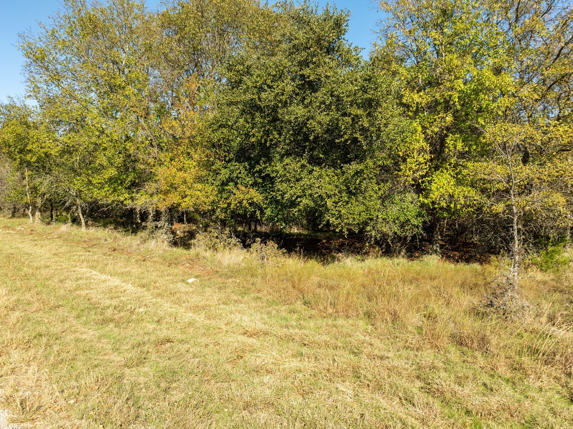 0.32 acres in Hill County - photo 6