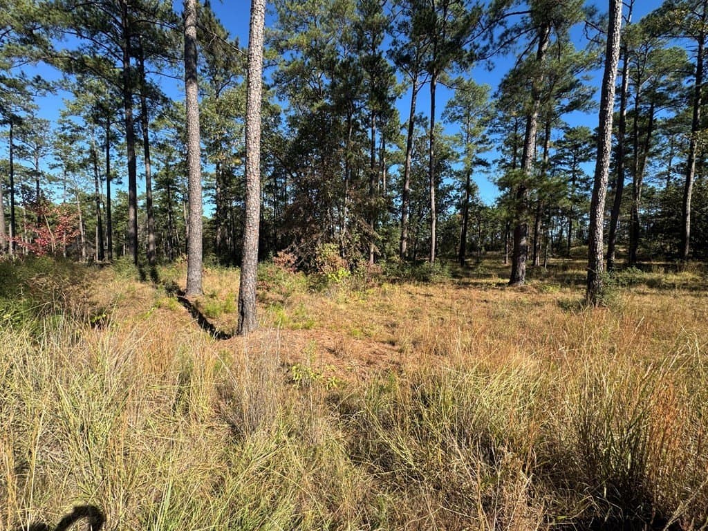 1.09 acres in Texas County - photo 7