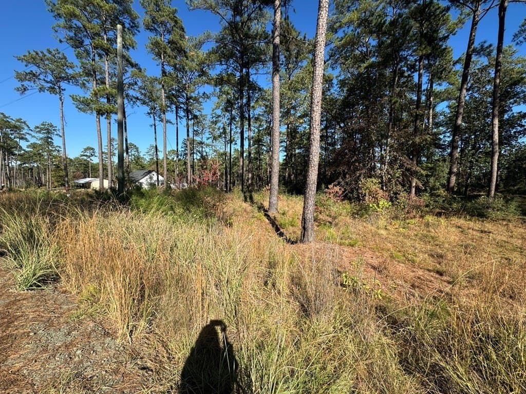 1.09 acres in Texas County - photo 8