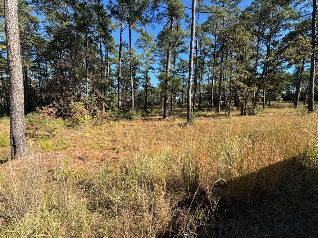 1.09 acres in Texas County - photo 9