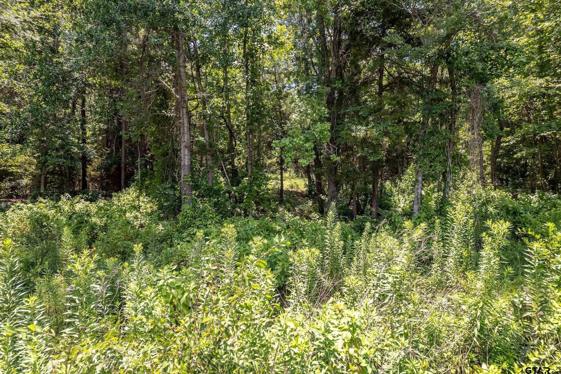 3.29 acres in Smith County - photo 11