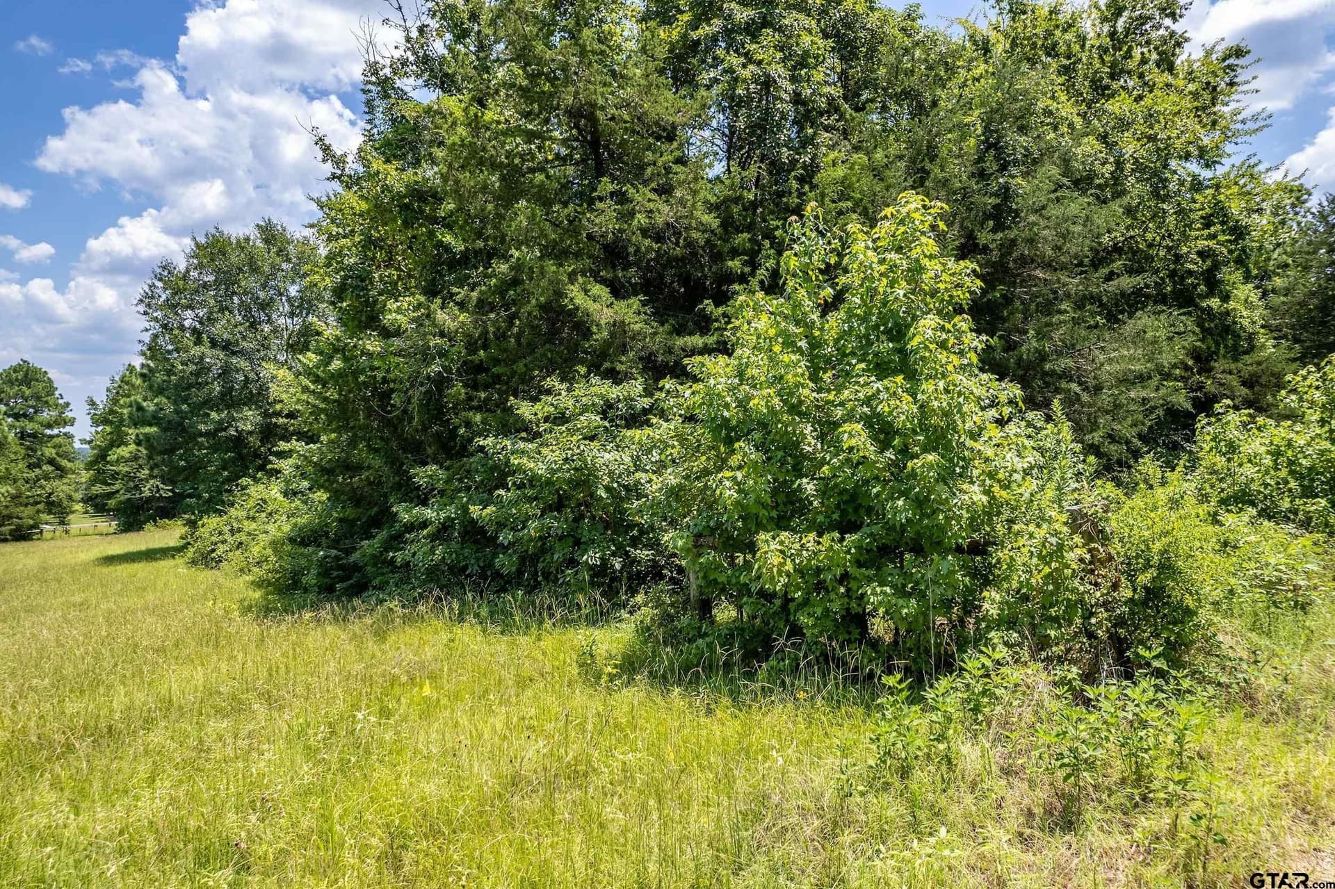 3.29 acres in Smith County gallery image 4