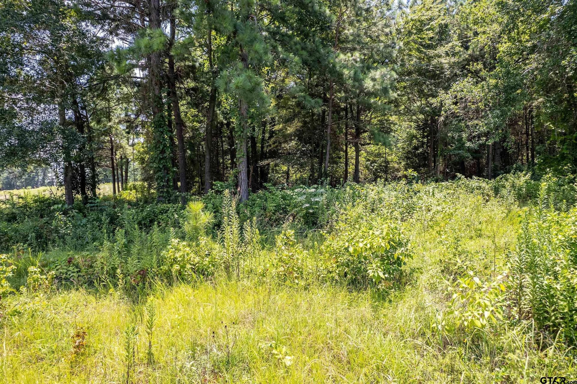 3.29 acres in Smith County - photo 10