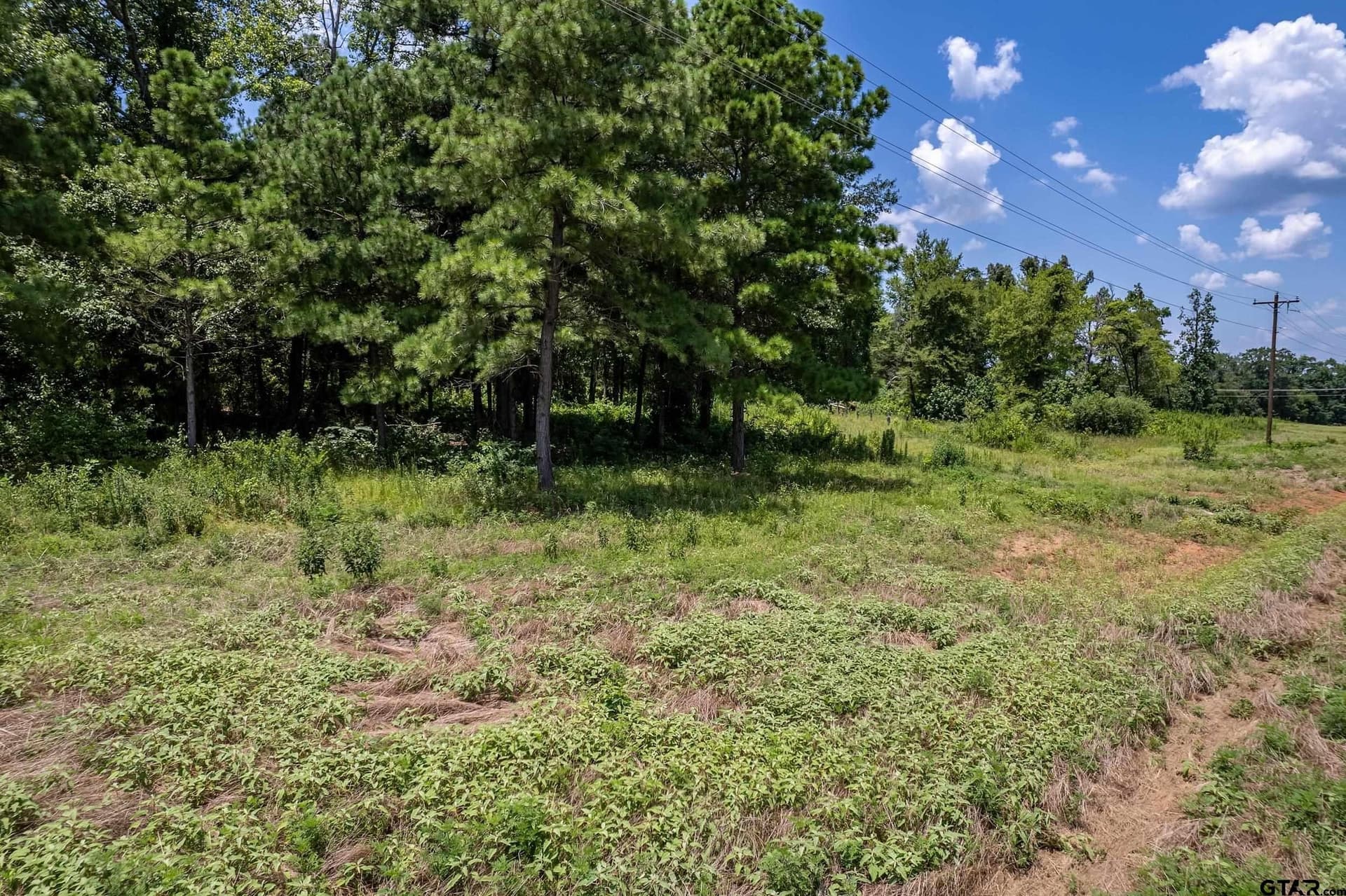 3.29 acres in Smith County - photo 8