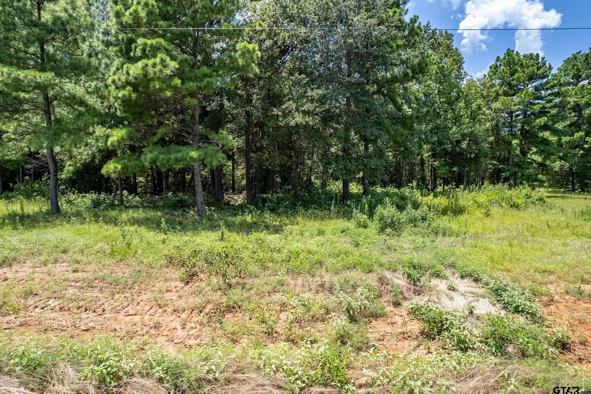3.29 acres in Smith County - photo 9