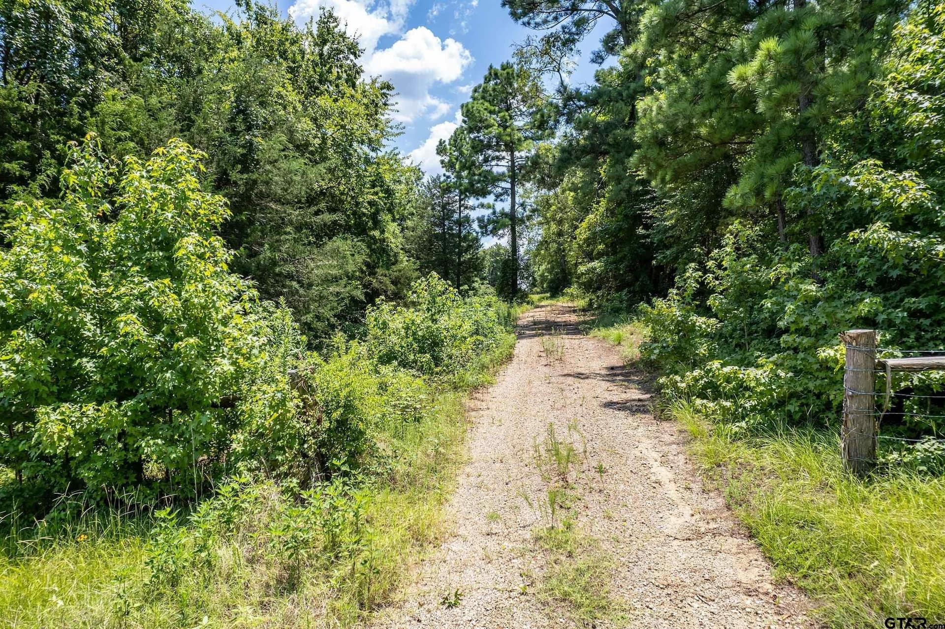 3.29 acres in Smith County gallery image 3