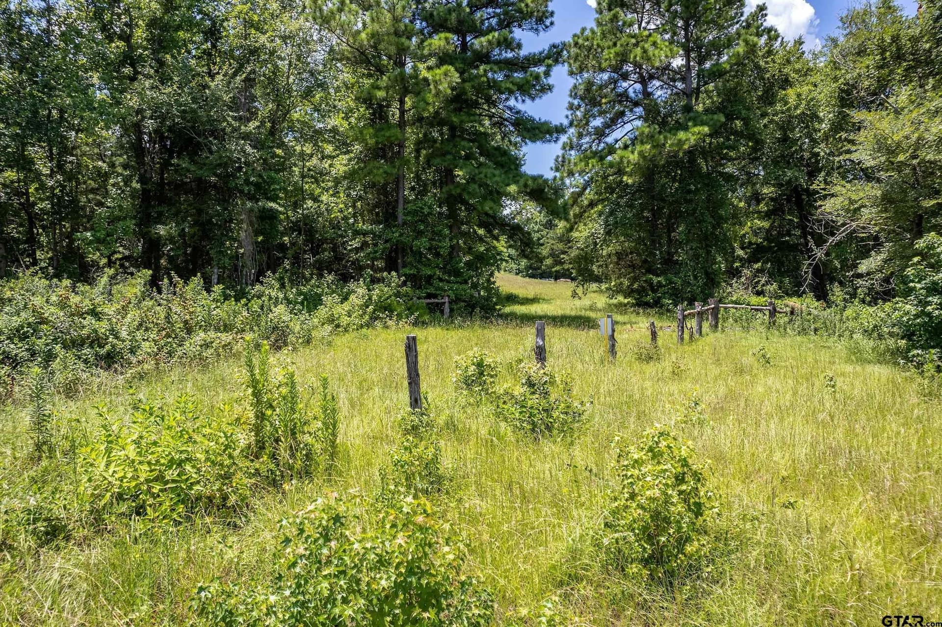 3.29 acres in Smith County gallery image 2