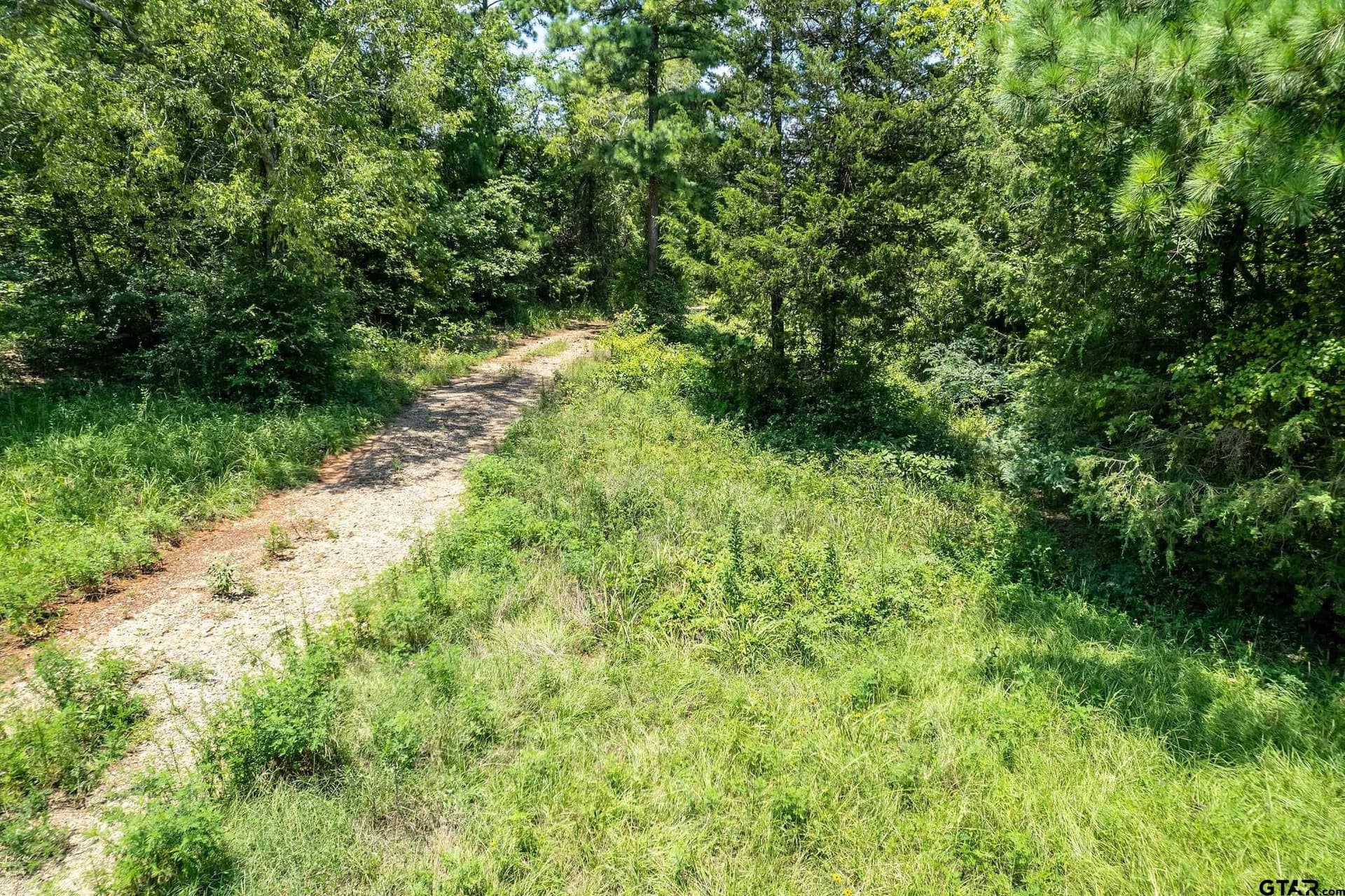 3.29 acres in Smith County - photo 6