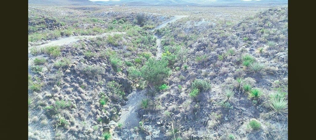 20 acres in Brewster County gallery image 3