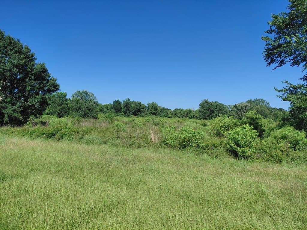 10.65 acres in Angleton County gallery image 2