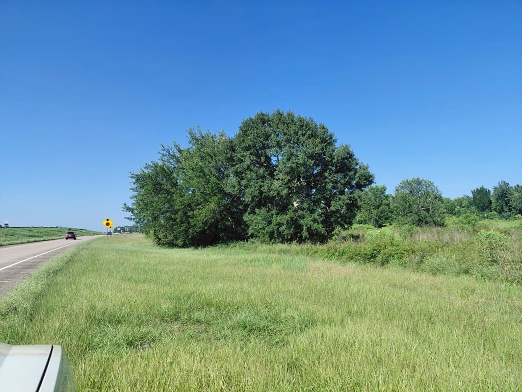 10.65 acres in Angleton County gallery image 4