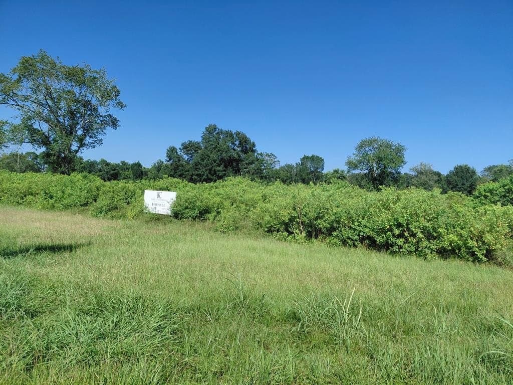 10.65 acres in Angleton County