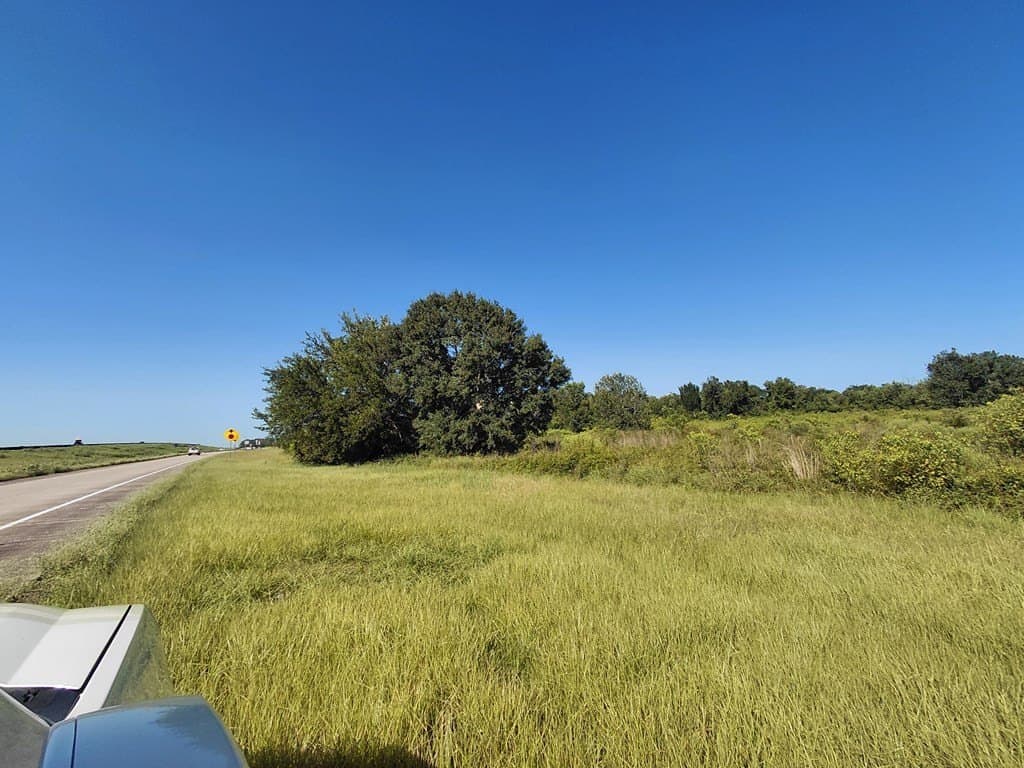 10.65 acres in Angleton County gallery image 3