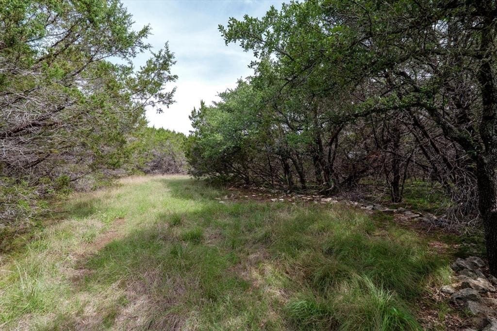 22 acres in Coryell County gallery image 4