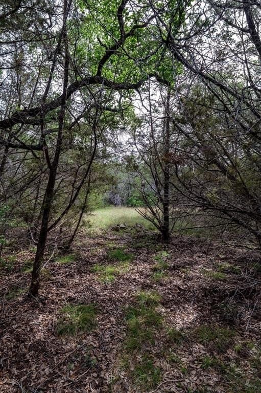 22 acres in Coryell County gallery image 3